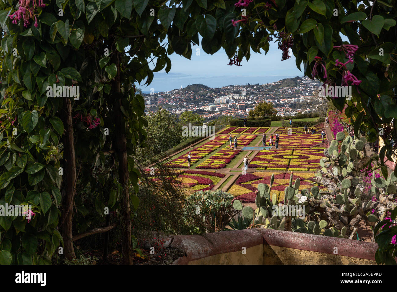 Giardino Formale in i giardini botanici di Madeira (Jardim Botânico), al di sopra della città capitale di Funchal, Madeira, Portogallo Foto Stock