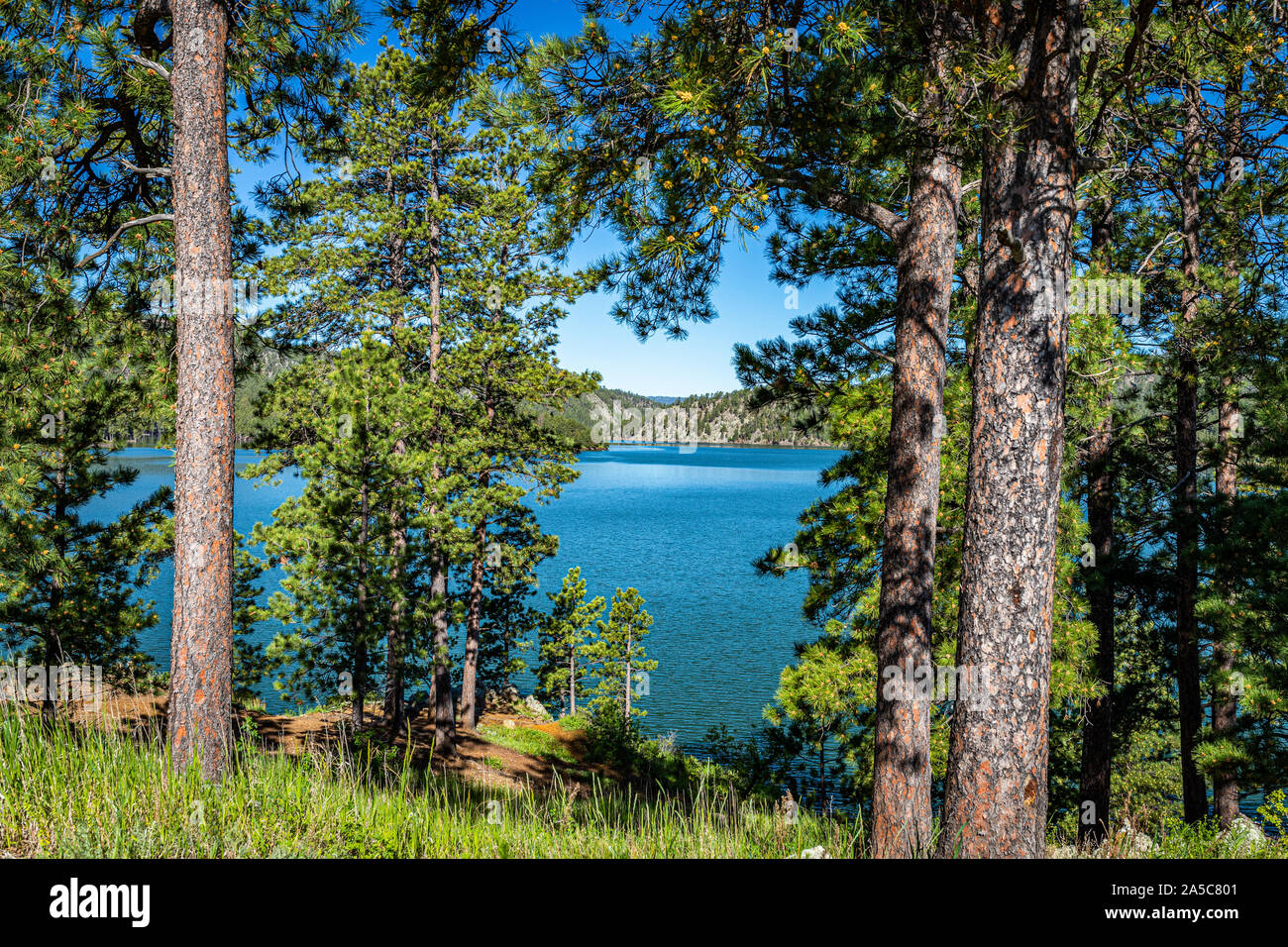 Pactola Lake è il più grande serbatoio nelle Black Hills del Sud Dakota, creato dalla costruzione della diga Pactola nel 1952. Foto Stock