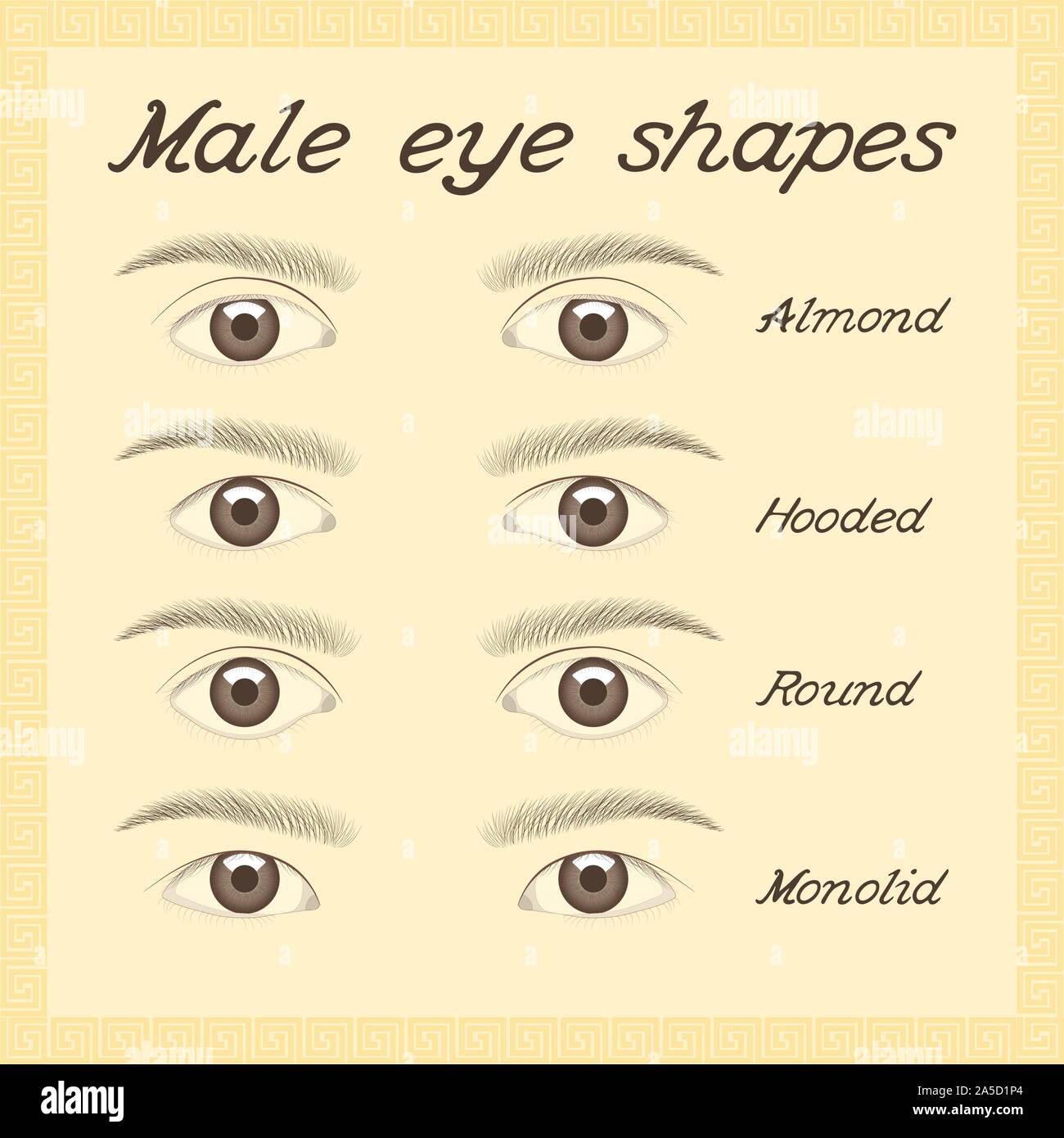 Occhio forme e tipi. Maschio di varie forme dell'occhio. Vettore Immagine e  Vettoriale - Alamy