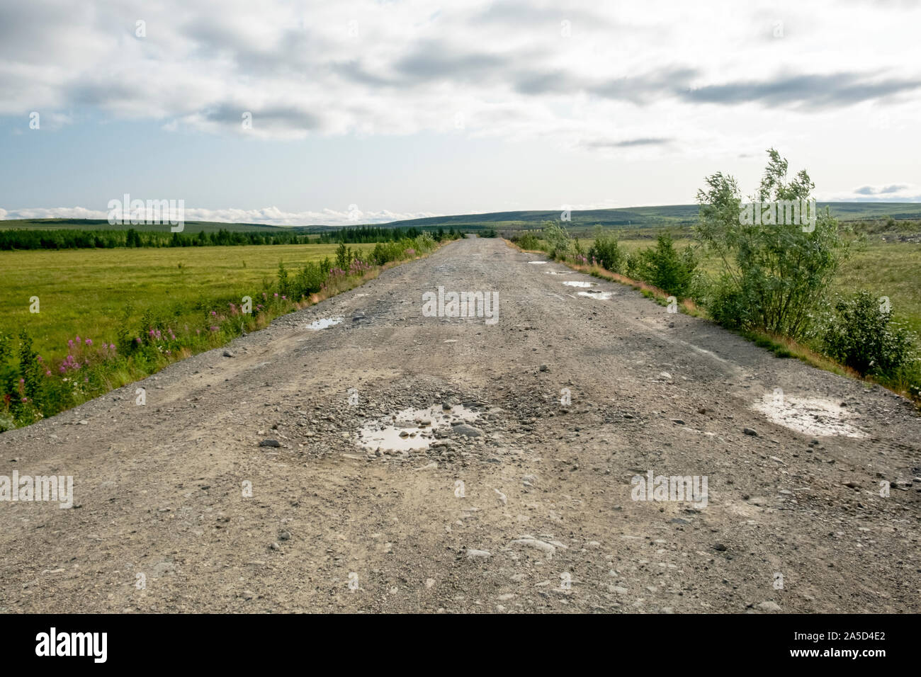 Una strada che attraversa la tundra sulla Penisola di Yamal in Siberia, Russia Foto Stock