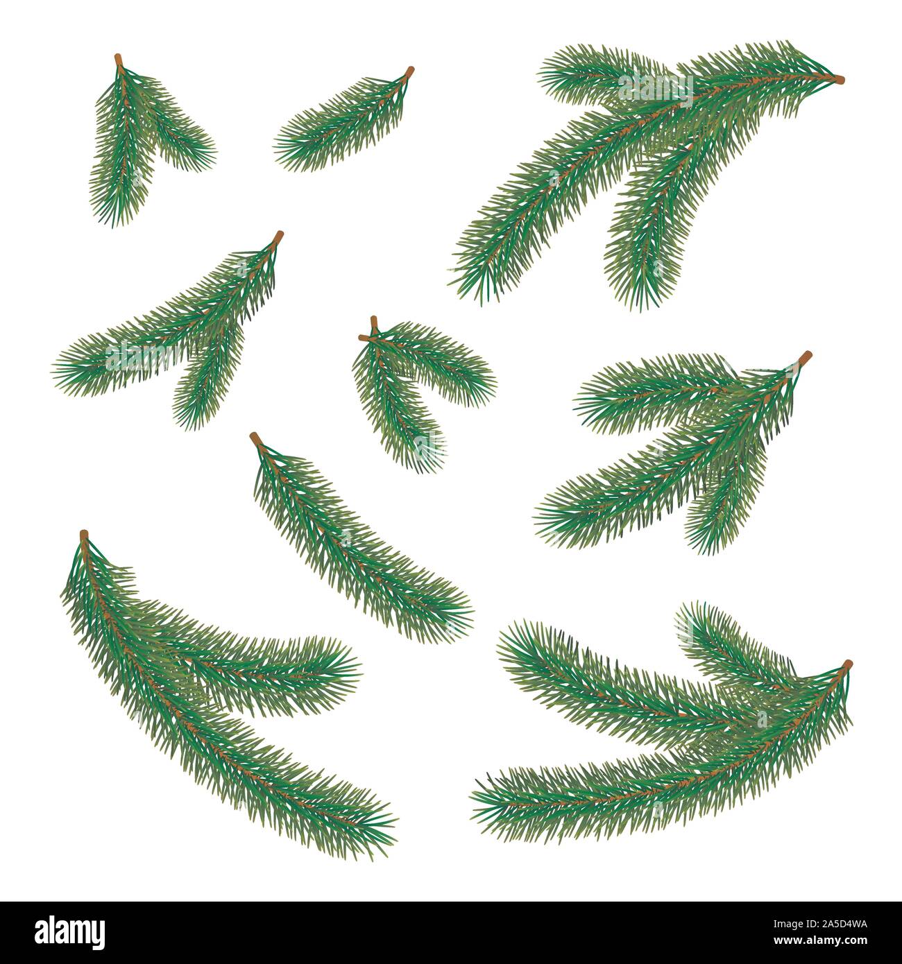 Set di abete verde rami. Albero di natale ramoscello elemento di decoro. Nuovo anno a rami di alberi con aghi cespuglioso. Vacanza di conifere decor. Vettore Illustrazione Vettoriale
