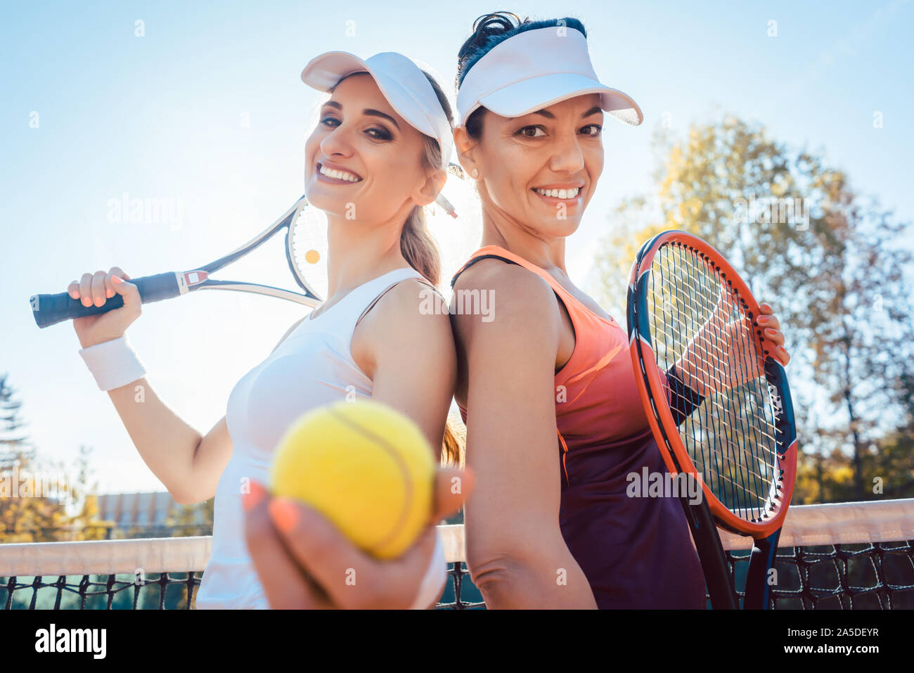 I migliori amici del campo da tennis Foto Stock