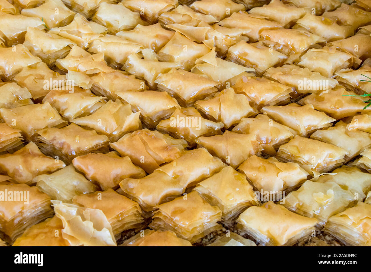 Baklava imbevuta di miele preparata con pasta fillo, pistacchio croccante e bagnata di miele. Pronto per essere servito e divorato Foto Stock