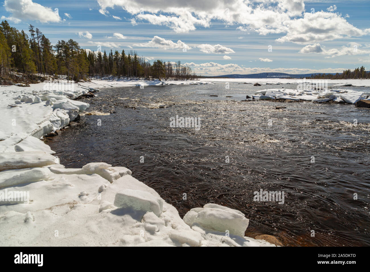 Primavera in Lapponia svedese, creek con acqua corrente e ice floes nell'acqua, Gällivare county, Lapponia svedese, Svezia Foto Stock