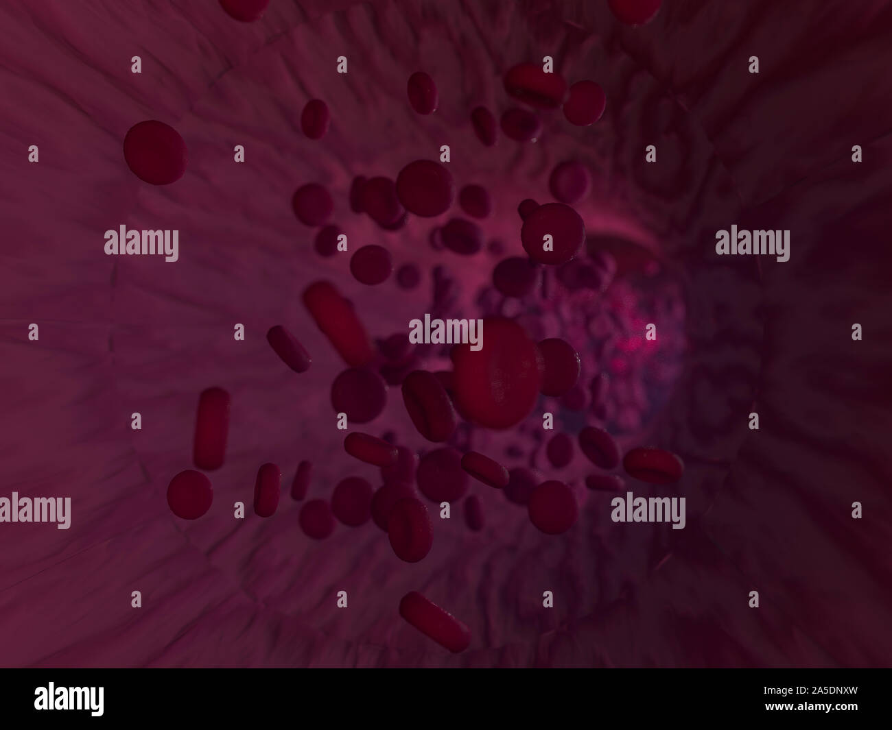 Le cellule rosse del sangue. Illustrazione scientifica il flusso sanguigno. Il rendering 3D Foto Stock