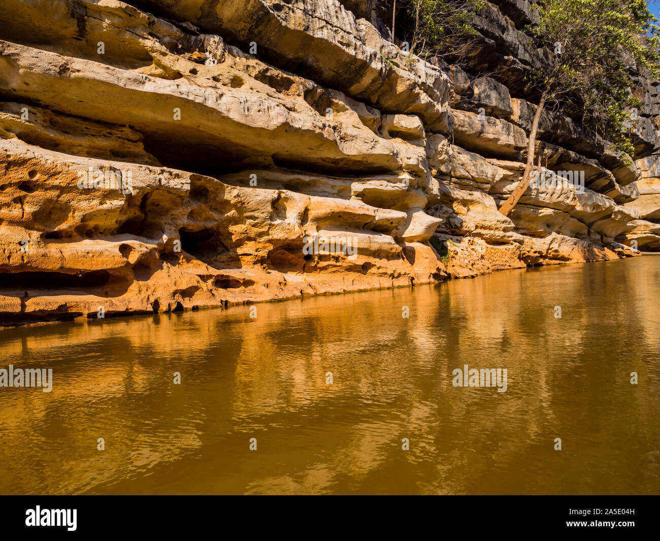 Impressionanti formazioni di pietra si riflette sul fiume Manambolo, Tsingy de Bemaraha Riserva Integrale, Madagascar Foto Stock