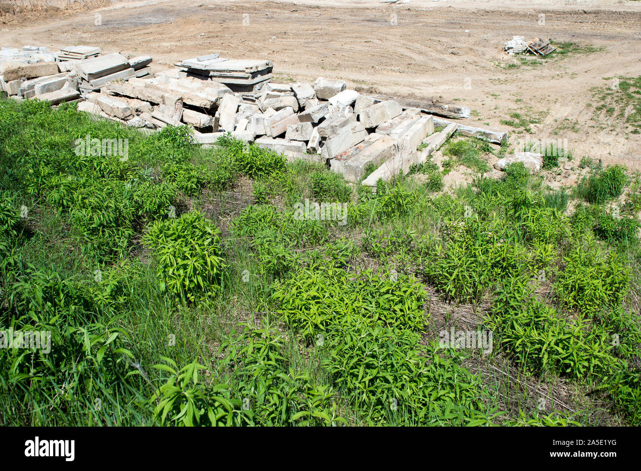 I blocchi in calcestruzzo della Fondazione giacciono su una area sgombra per costruzione con resti di vegetazione in primo piano. Sfondo. Foto Stock