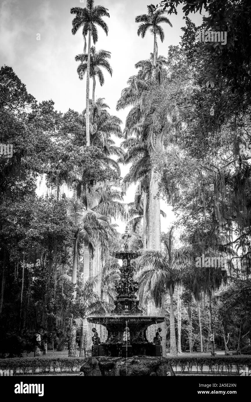 Musas fino Fontana e Palmeira Imperial in Gardem Botanico di Rio Foto Stock