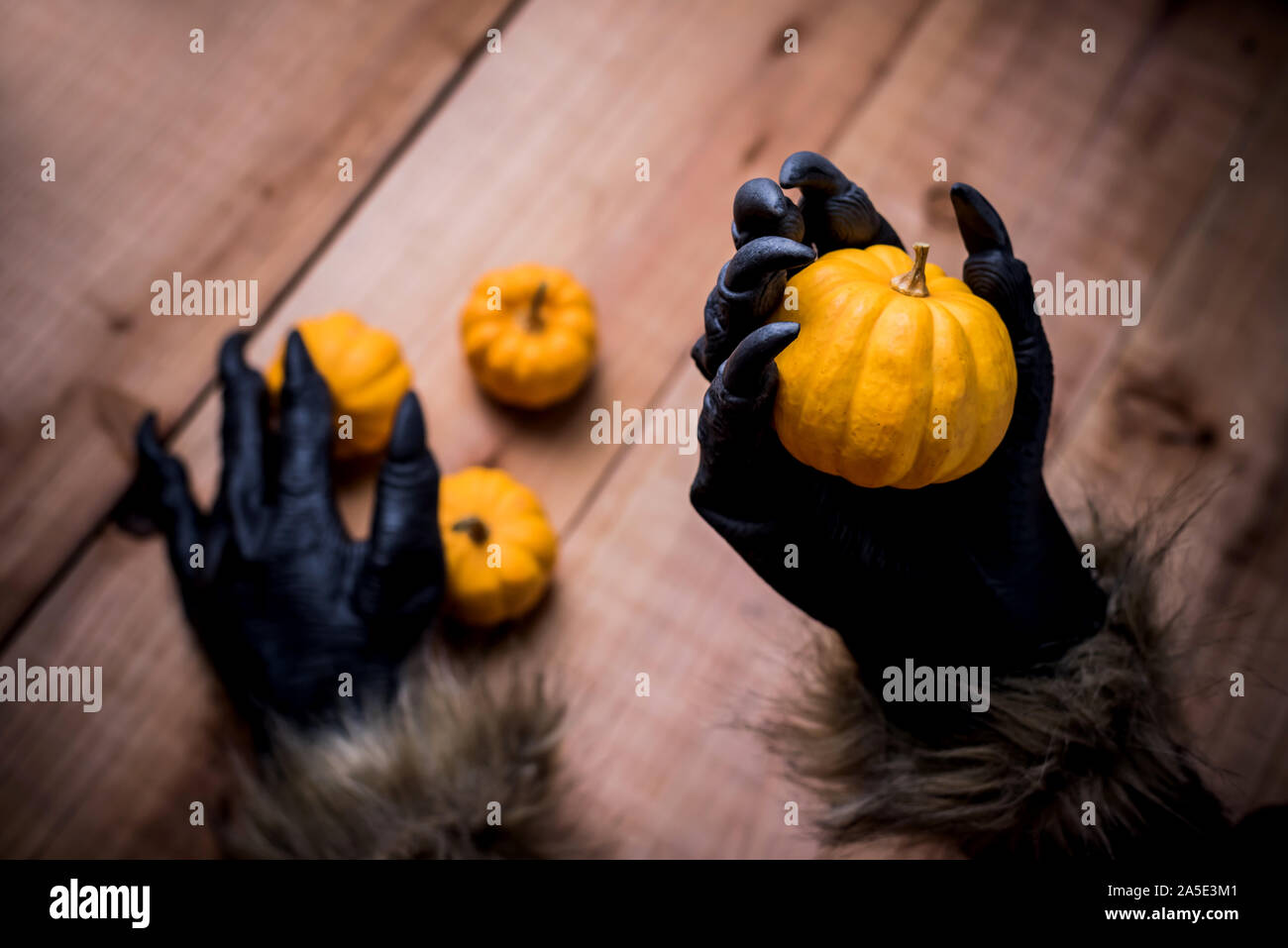 Happy Halloween. Lupo Mannaro o zombie mani tenendo la zucca per il dolcetto o scherzetto partito. Foto Stock