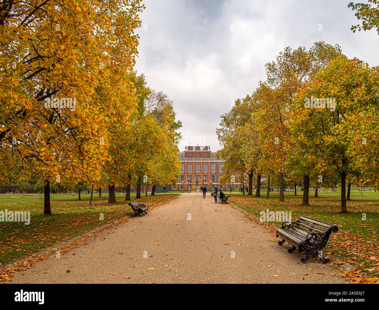 Viale alberato percorso, i giardini di Kensington, London, Regno Unito. Foto Stock