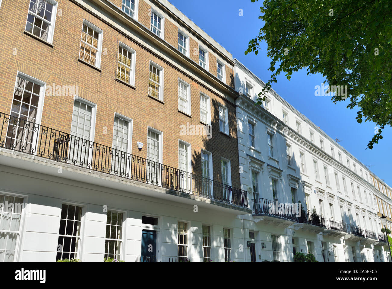 A schiera residenze di lusso con vista parziale della facciata in stucco, Royal Avenue, Chelsea, West London, Regno Unito Foto Stock