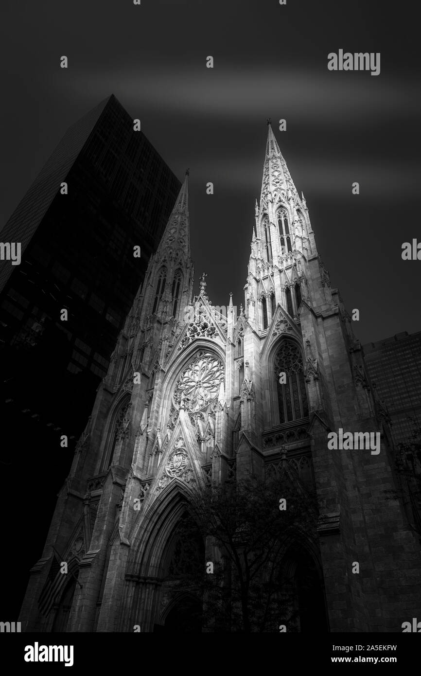 La cattedrale di San Patrizio nel centro cittadino di Manhattan, a New York City, Stati Uniti d'America. Foto Stock