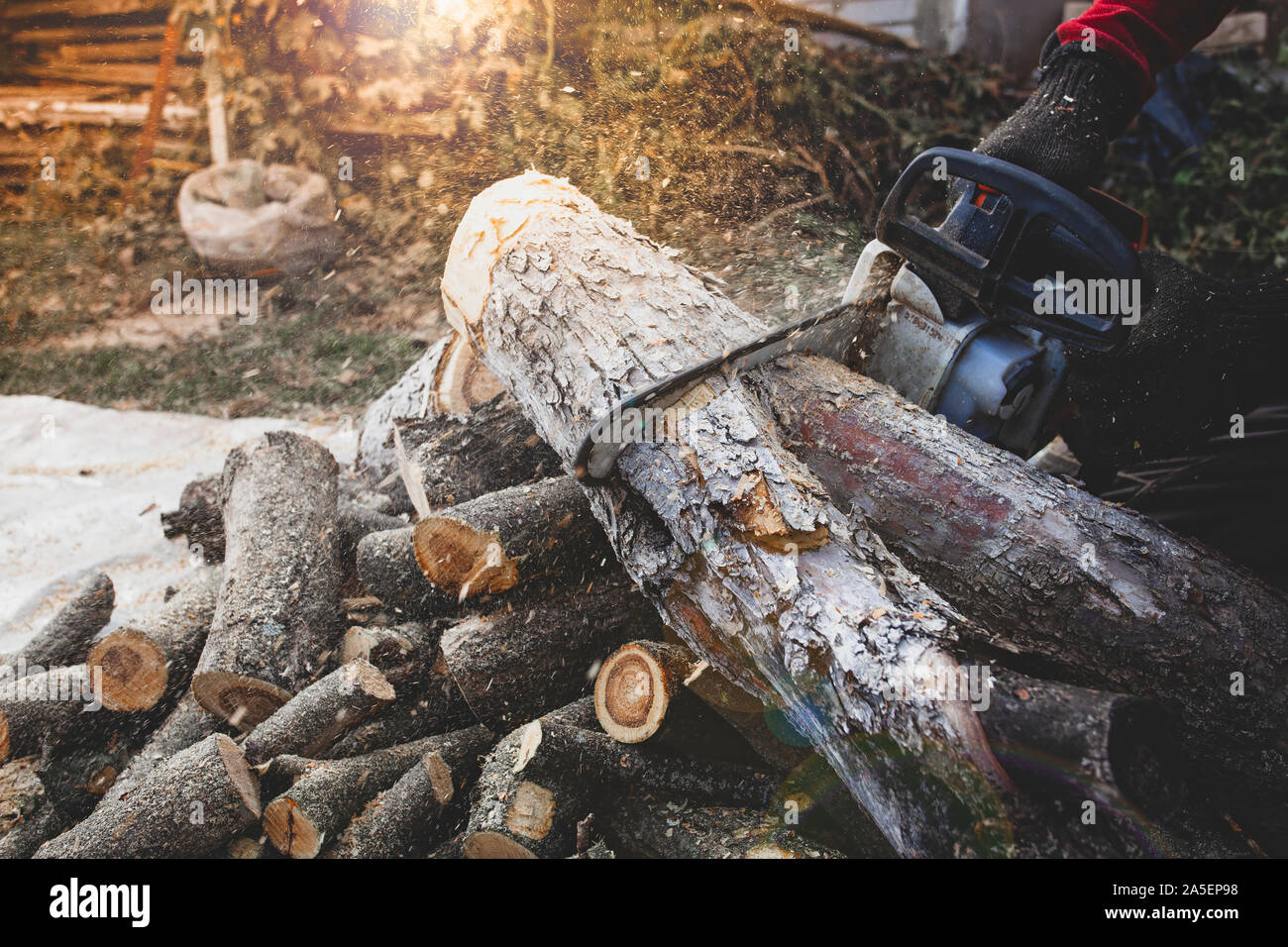 Professional chainsaw tagli firewoods Foto Stock