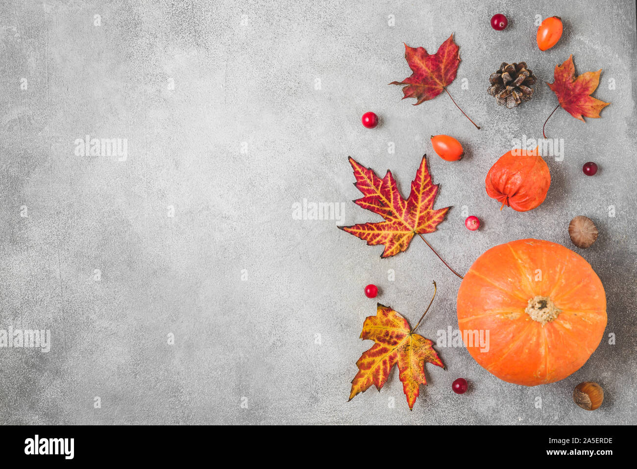 Felice giorno del Ringraziamento composizione. Zucca, foglie di autunno, fiori, frutti di bosco, i dadi sul cemento dello sfondo. In autunno, caduta, la Giornata del ringraziamento concetto. Fla Foto Stock