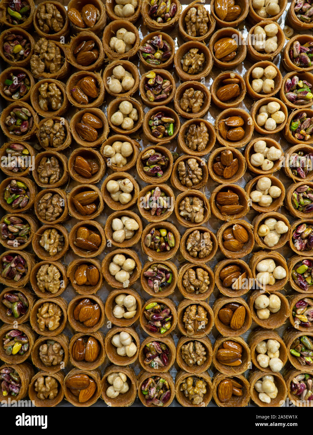 Sarma tel kadayif, tradizionale dessert turco noto anche come il baklava o bulbul yuvasi Foto Stock