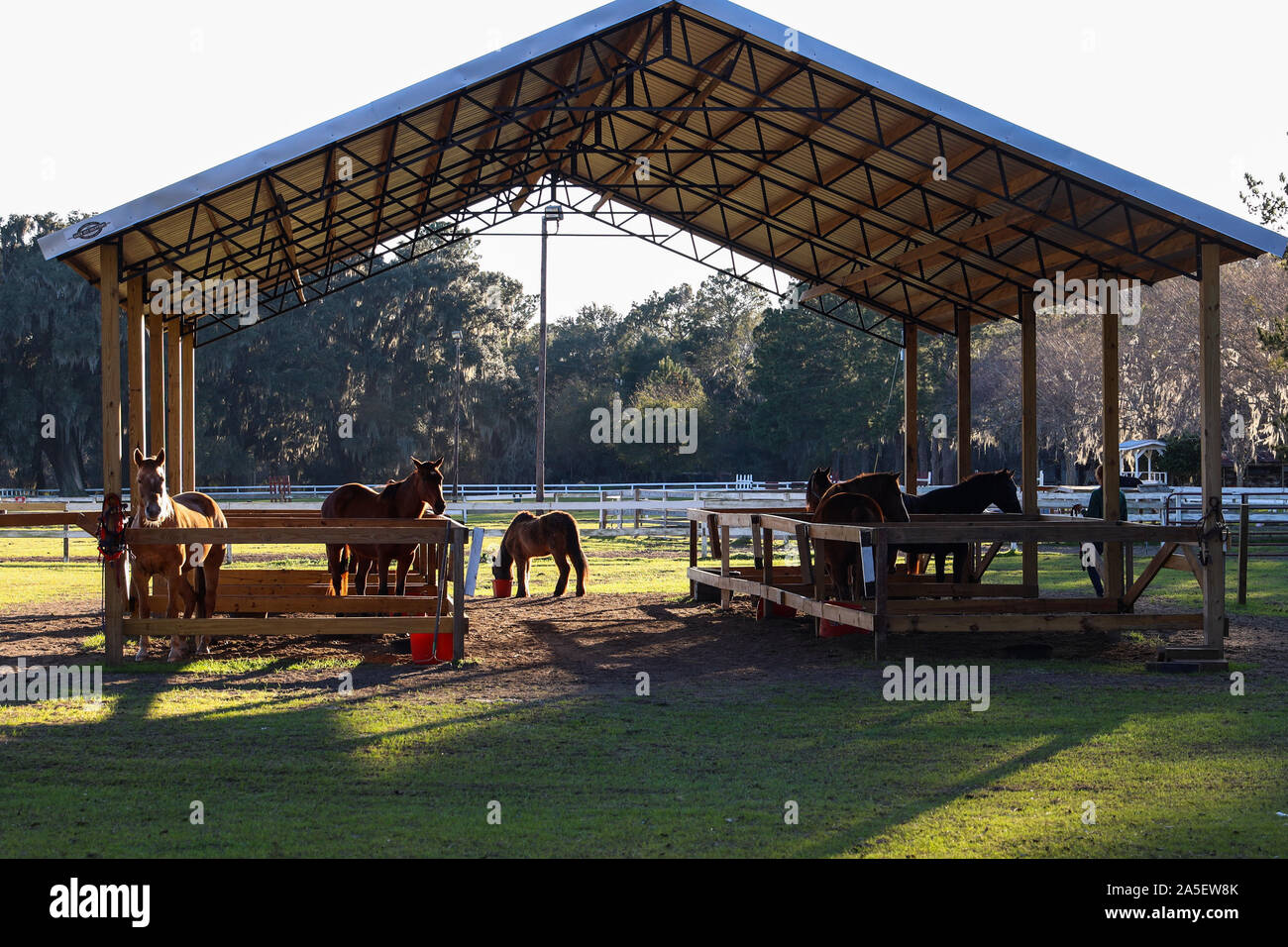 Horse rifugio a Red Gate Campeggio & RV Resort Foto Stock