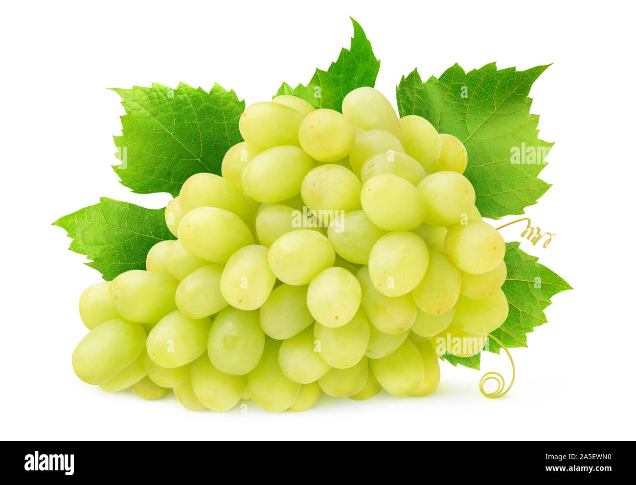 Isolato di uve bianche. Mazzetto di Thompson Seedless uve con foglie e viticci isolato su sfondo bianco con tracciato di ritaglio Foto Stock