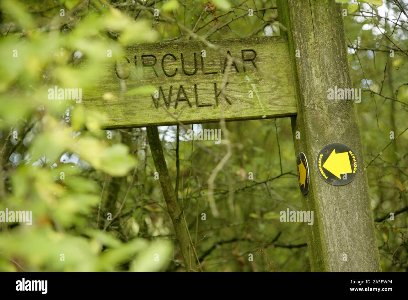 Cartello per campagna circolare a piedi nei boschi, UK. Foto Stock