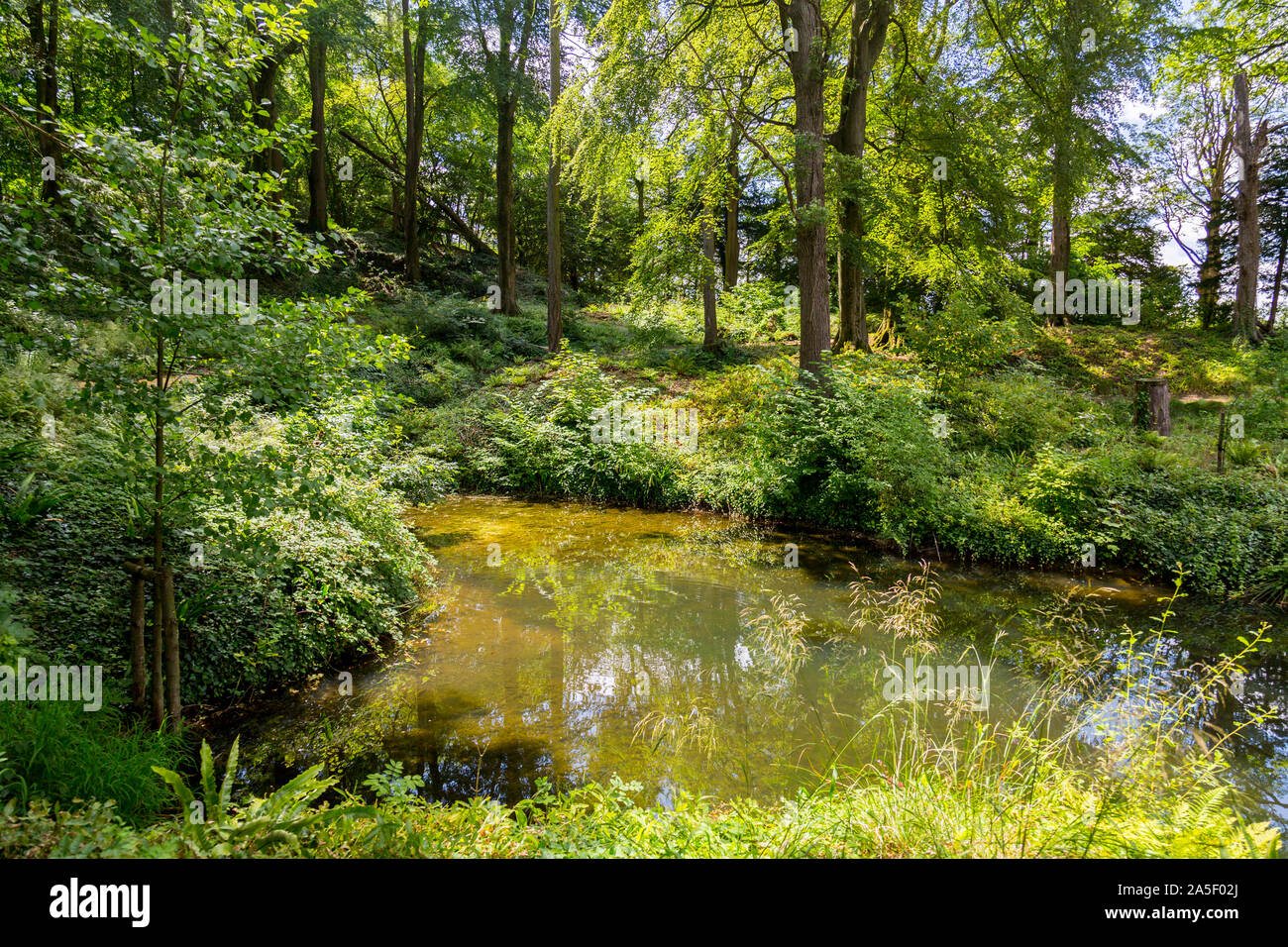 Il bosco di attraente Marl Pit e il lago nel restaurato recentemente 'Il Tritone in Somerset' giardino e hotel, nr Bruton, England, Regno Unito Foto Stock