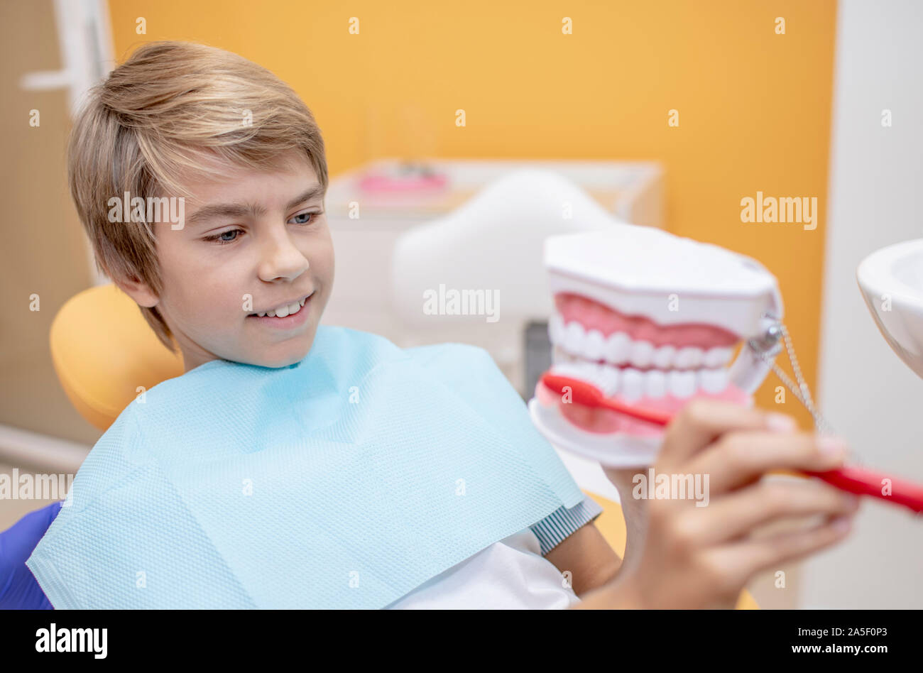 Ragazzo imparare a spazzolare i denti utilizzando un modello di umana ganasce Foto Stock