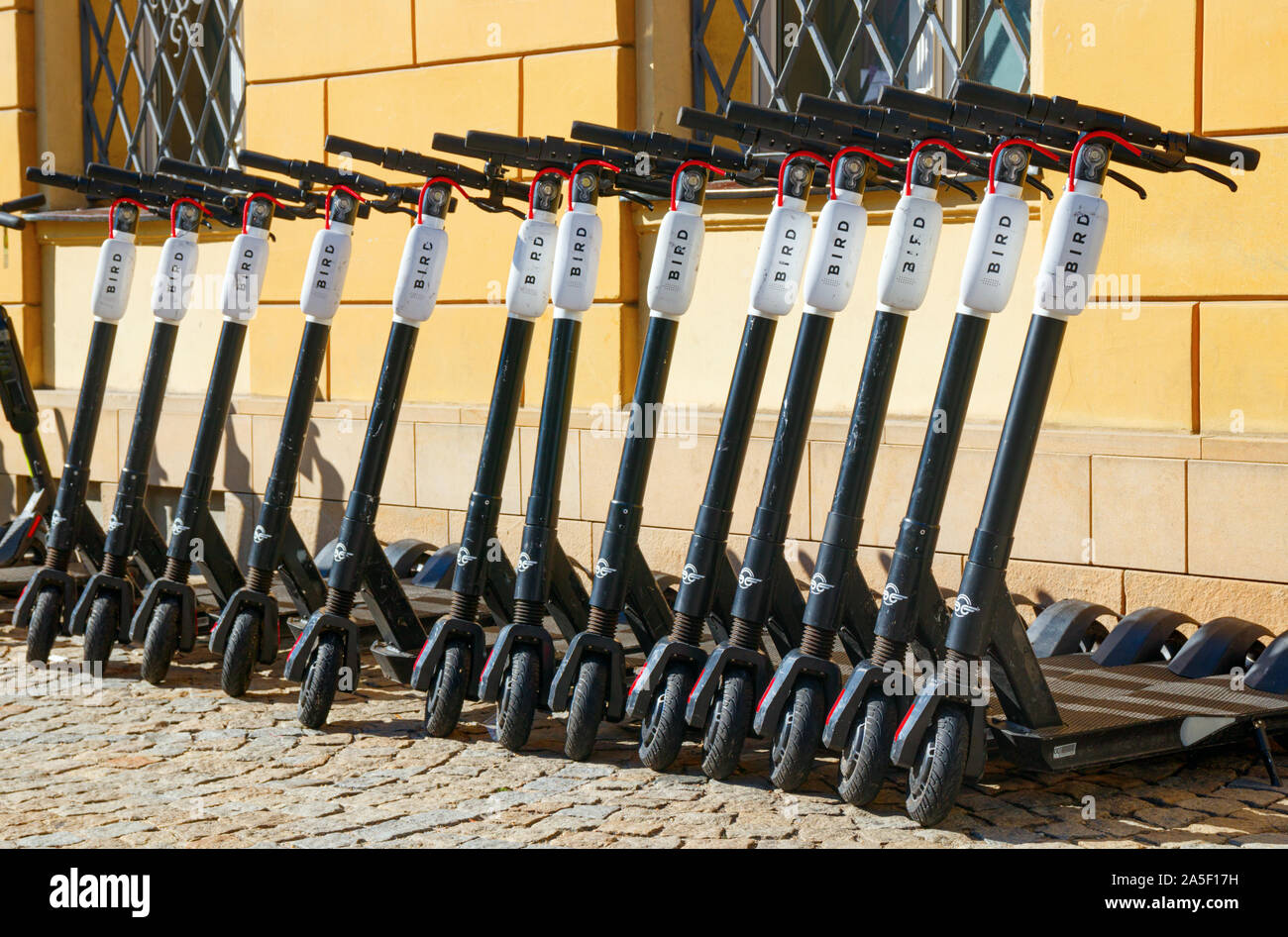 Scooter elettrici (E-scooter) modello Bird Zero da uccello per la condivisione di scooter parcheggiato in una fila vicino a una parete. Wroclaw, Polonia. Foto Stock