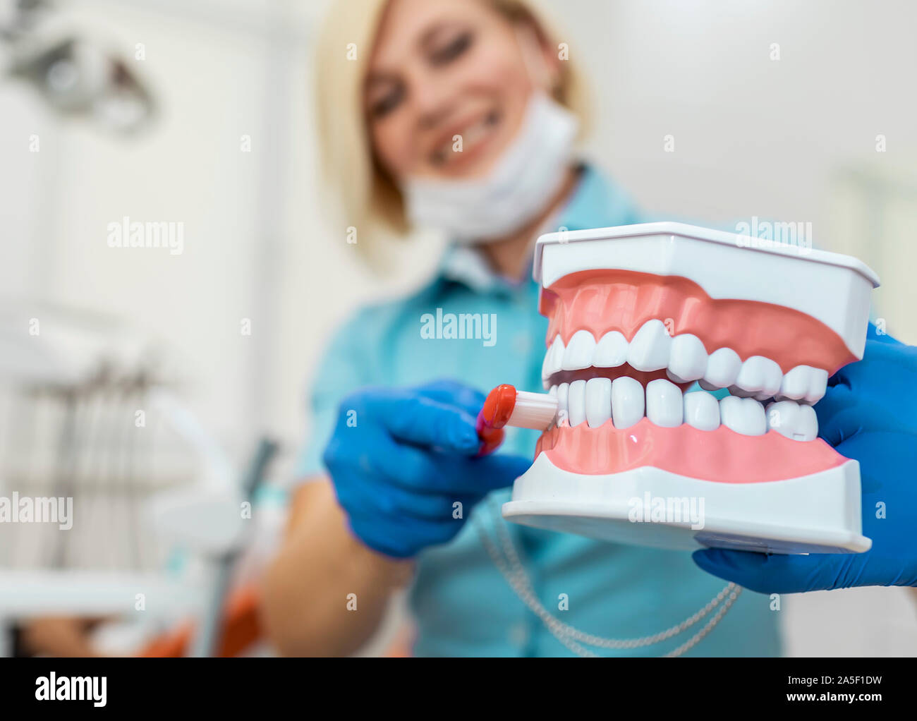 Giovani femmine dentista utilizzando un modello di ganasce per mostrare il modo corretto di spazzolare i denti Foto Stock