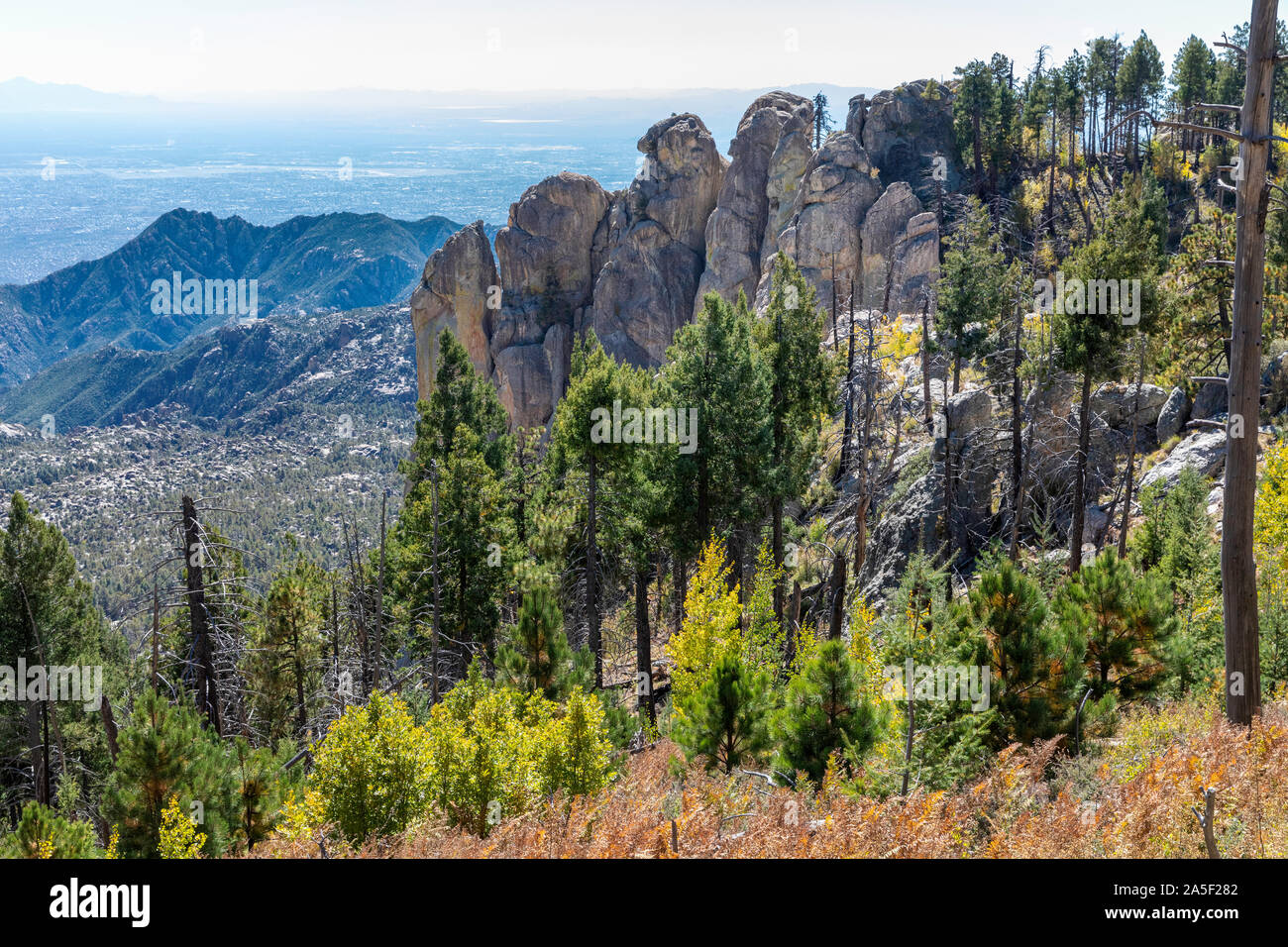 Viste dalle montagne Santa Catalina, Mt. Lemmon, Tucson, Arizona Foto Stock