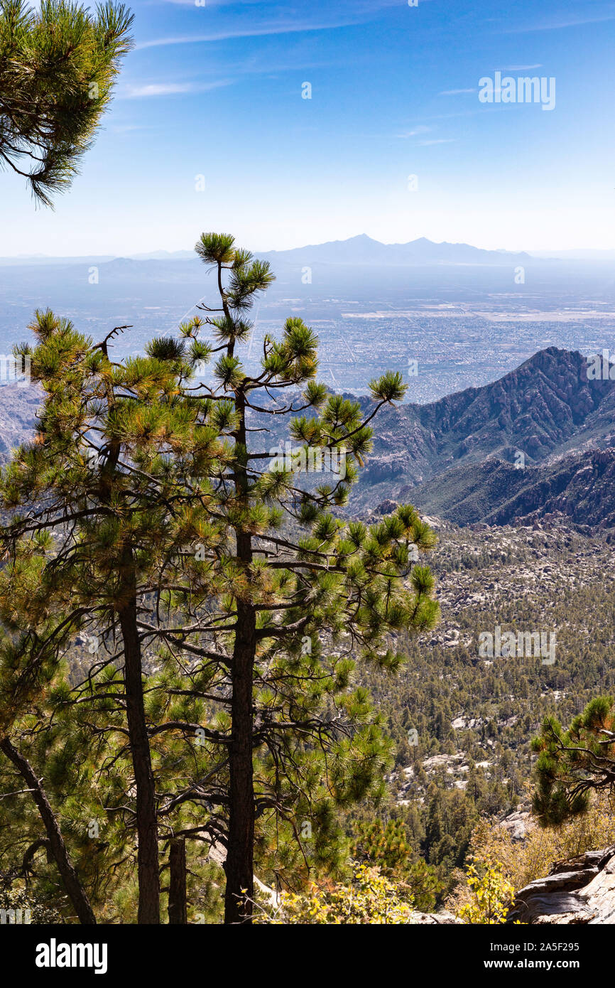 Viste da Mt. Lemmon, Santa Catalina Mountains, città di Tucson, Arizona in distanza. Foto Stock