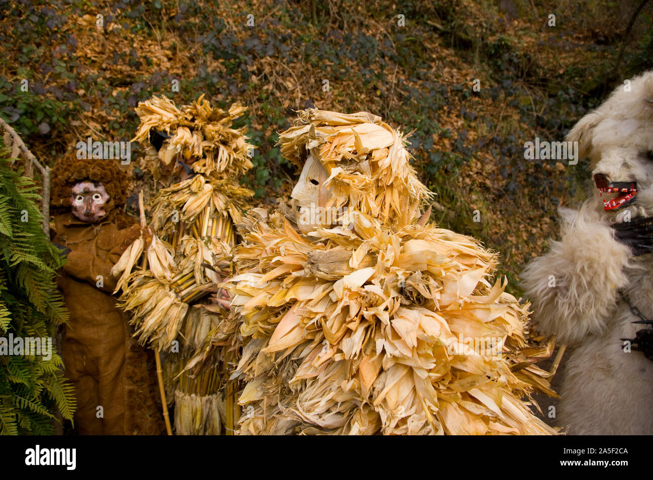 La Vijanera Carnevale, Silio Cantabria, SPAGNA Foto Stock