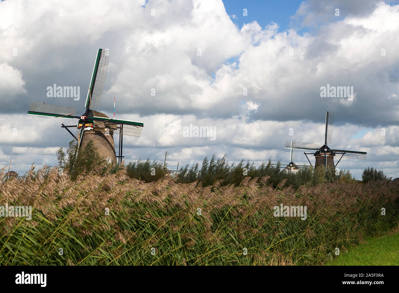 Mulini a vento olandese del sito Patrimonio Mondiale Kinderdijk, Paesi Bassi Foto Stock