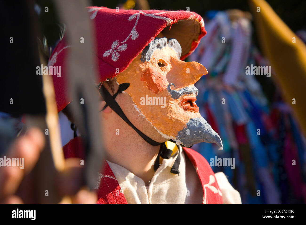 La Vijanera Carnevale, Silio Cantabria, SPAGNA Foto Stock