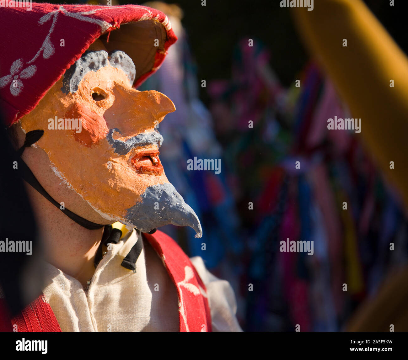 La Vijanera Carnevale, Silio Cantabria, SPAGNA Foto Stock