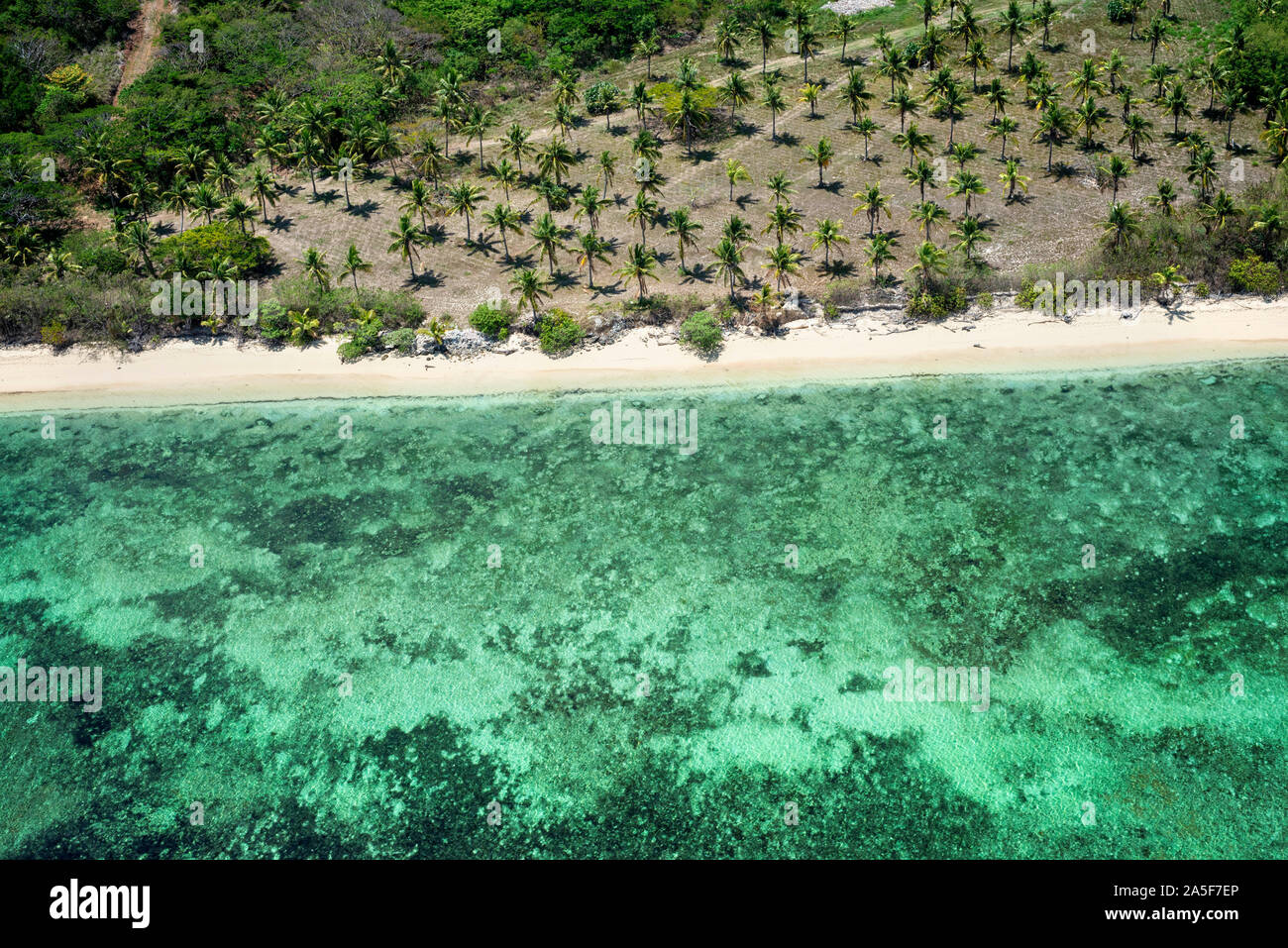 Vista aerea di palme da cocco di Viti Levu coast beach, Isole Figi Foto Stock