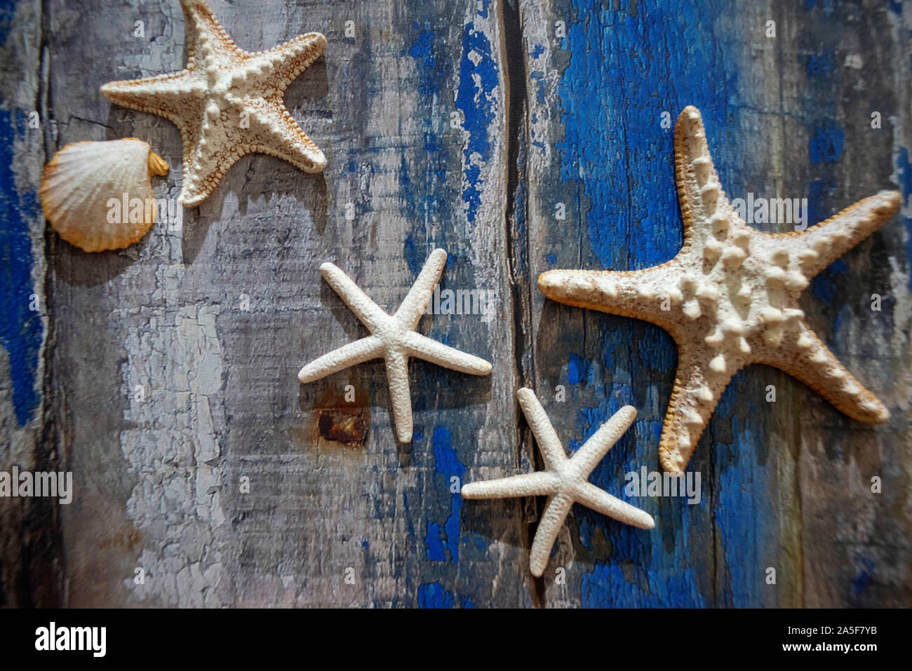 Isole Figi stelle decorazione negozio di souvenir. Malolo Island Mamanucas gruppo delle isole Figi Foto Stock