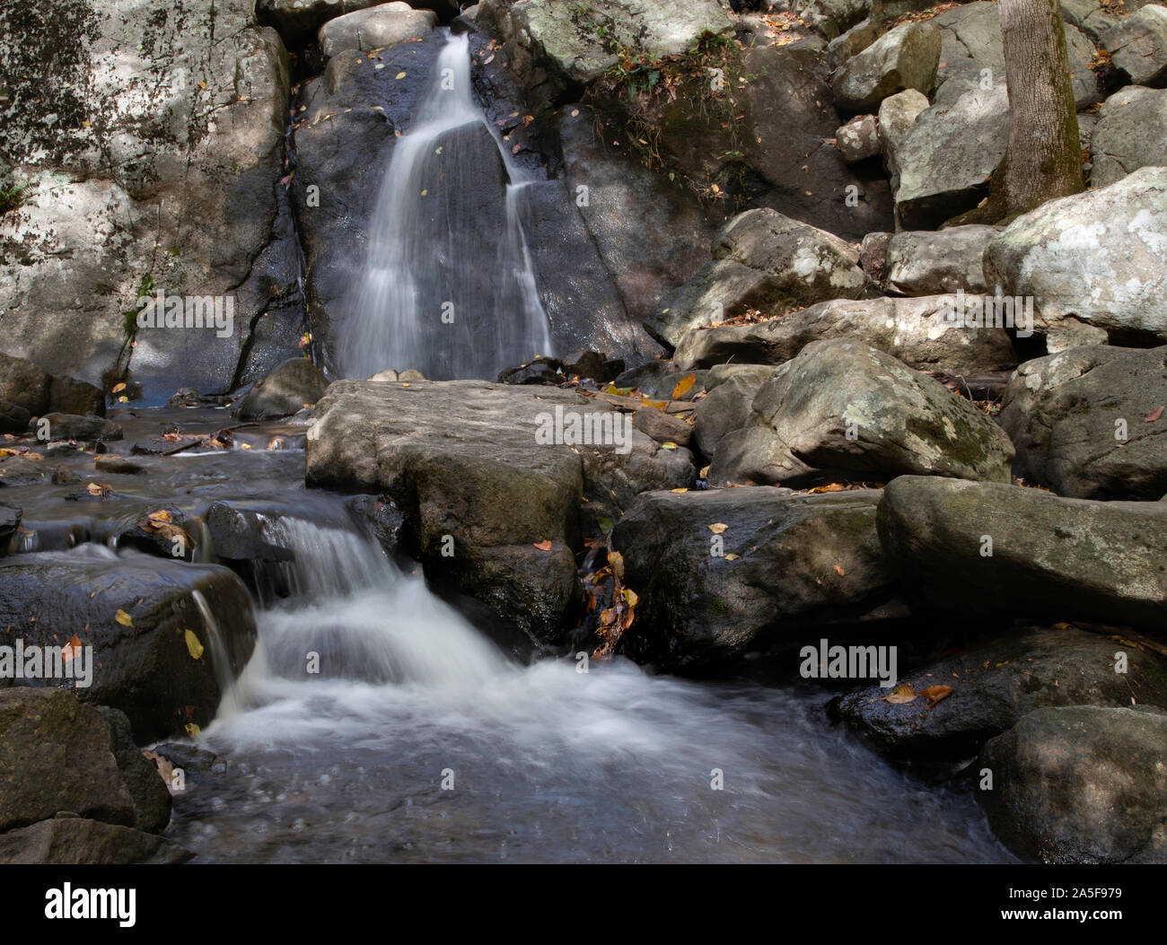 Esposizione a lungo la cascata nel bosco Foto Stock