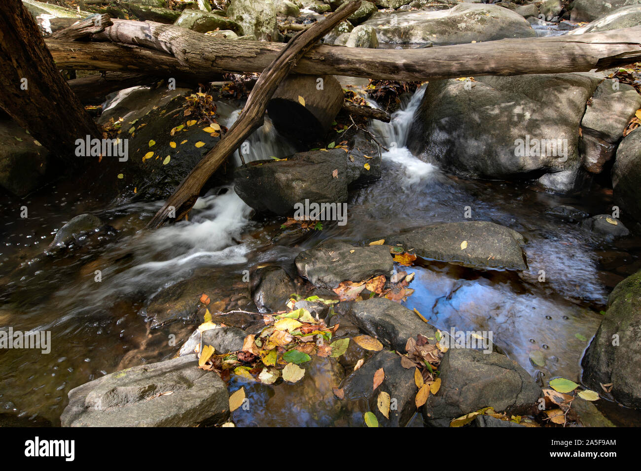 Esposizione a lungo la cascata nel bosco Foto Stock