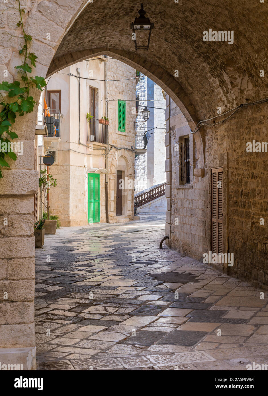 Giovinazzo, cittadina in provincia di Bari, Puglia), il sud dell'Italia. Foto Stock