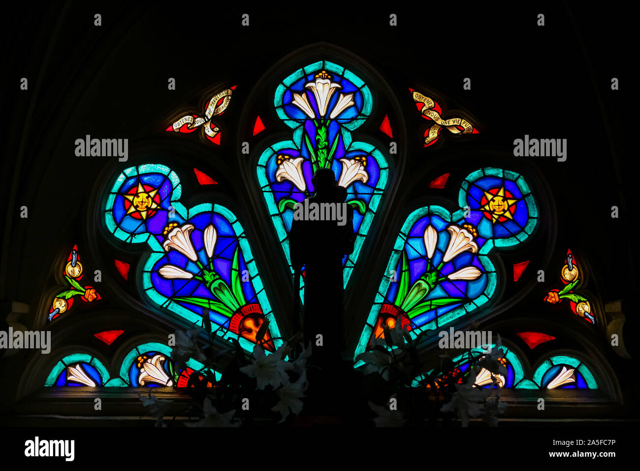 Vetro colorato nella chiesa di St Martin in St Valery sur Somme, Francia, raffiguranti gigli bianchi Foto Stock