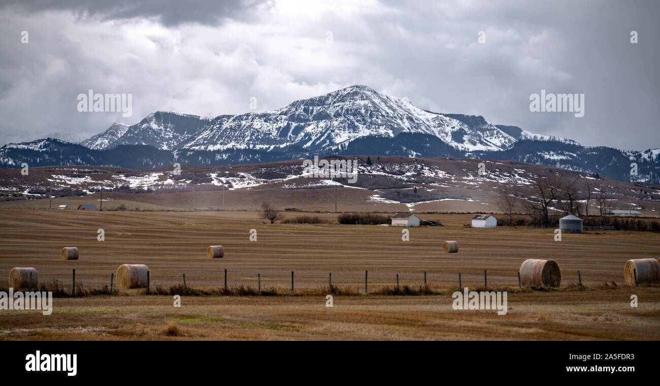 Prairie i campi agricoli e nevoso mountain range in Alberta. Foto Stock