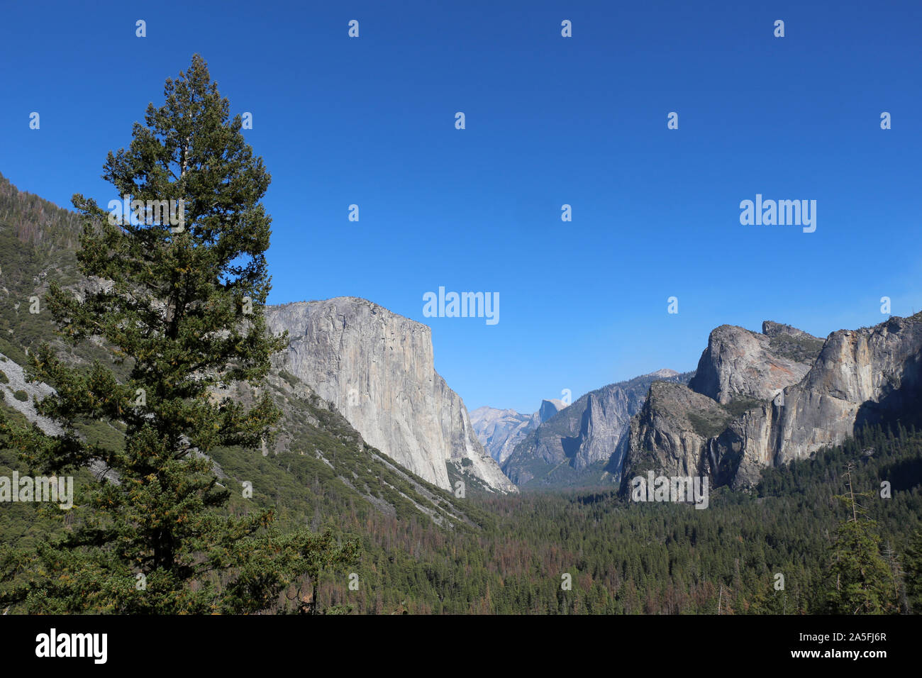 Parco Nazionale di Yosemite in cielo senza nuvole Foto Stock
