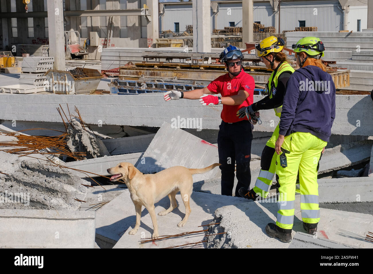 (191020) -- JASTREBARSKO (Croazia), 20 ott. 2019 (Xinhua) -- un cane di salvataggio è visto nel corso di una missione internazionale di test di idoneità per i cani in Jastrebarsko, Croazia, 20 ott. 2019. La prova ha visto la partecipazione di squadre provenienti da tutta Europa. (Tomislav Miletic/Pixsell via Xinhua) Foto Stock