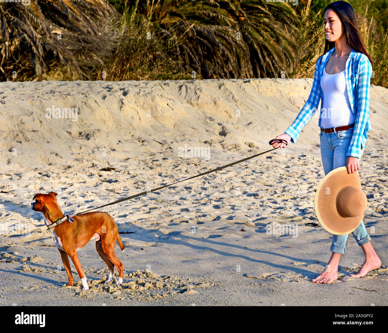 Bella giovane donna vestita in jeans e scalzi, è percorribile a piedi il suo cagnolino sulla spiaggia di Laguna Beach, Orange County, California, Stati Uniti d'America. Foto Stock