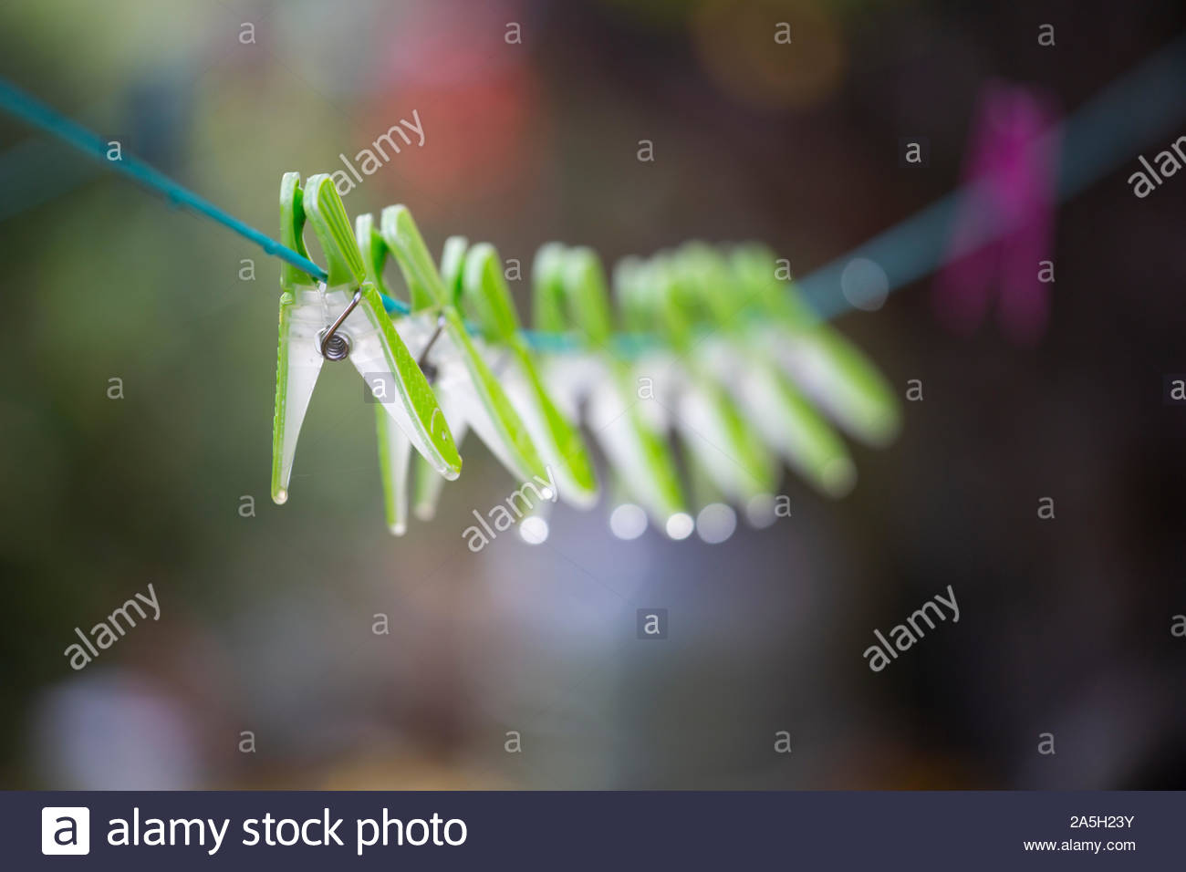 Clothespegs verde su una linea di lavaggio in un giardino in autunno Foto Stock