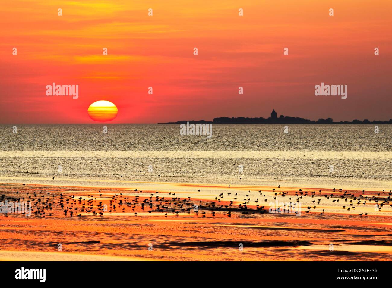 Arancione tramonto sul Mare del Nord, Isola di Neuwerk, Silhouette, Duhnen, Cuxhaven, Bassa Sassonia, Germania Foto Stock
