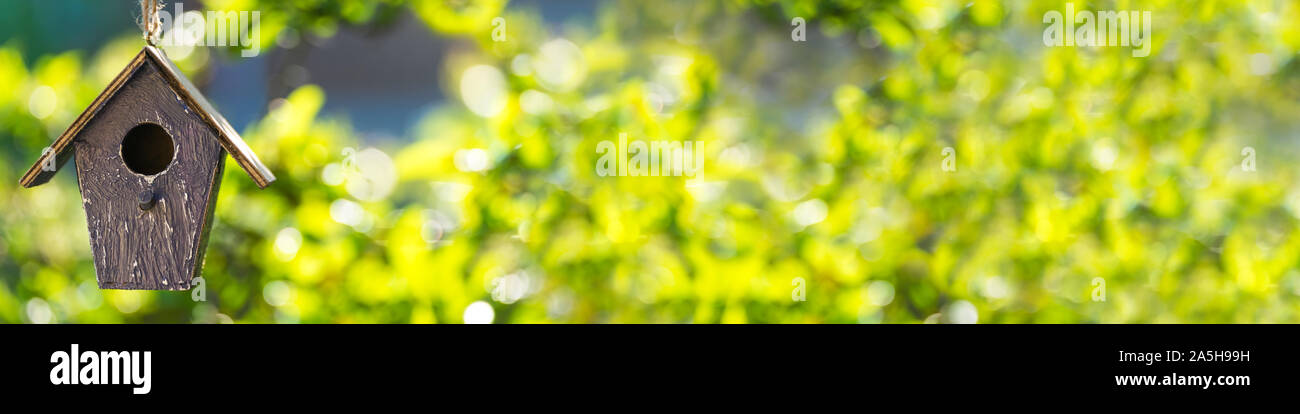 Panorama casa di uccelli, birdhouse o scatola di uccelli in primavera o estate al sole con verde naturale lascia lo sfondo panoramico banner web Foto Stock