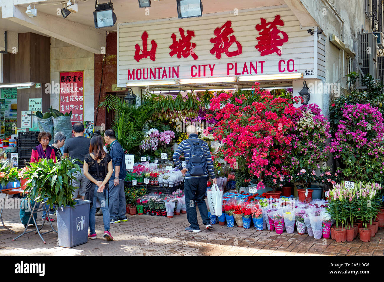 People shopping per houseplants presso il Mercato dei Fiori di strada. Kowloon, Hong Kong, Cina. Foto Stock