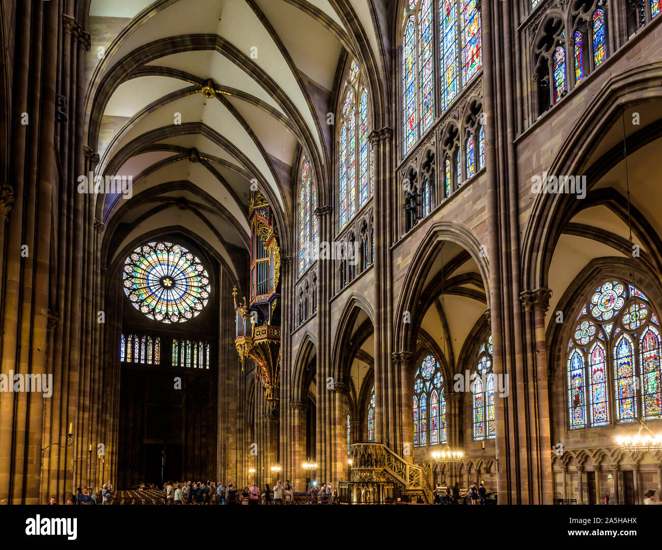 La navata e il rosone della cattedrale di Notre Dame a Strasburgo, Francia, illuminato dalla luce solare con la sospensione di organi della tubazione sulla destra. Foto Stock