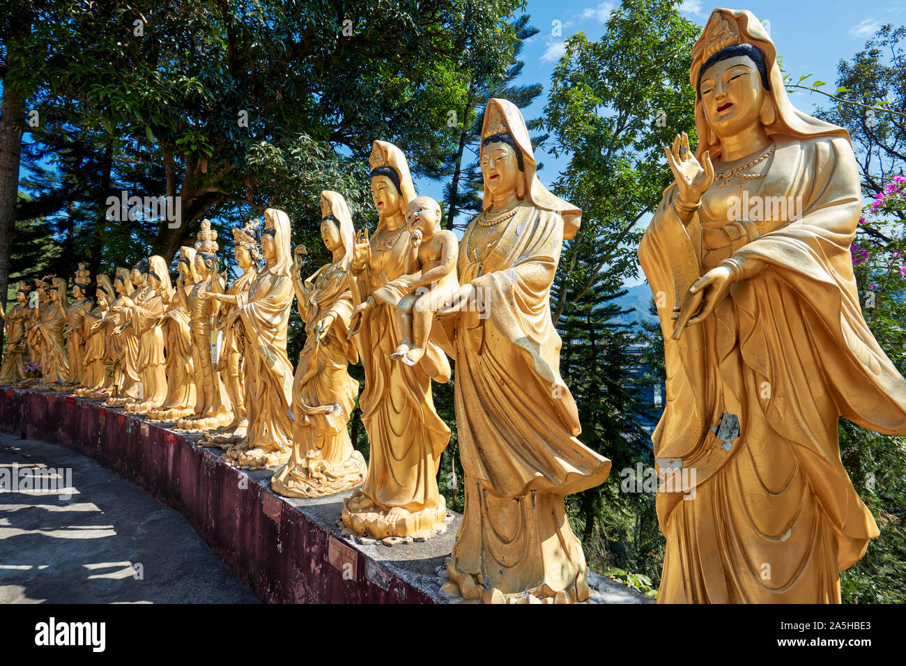 Statue di arhats (equivalente buddista di santi) presso il monastero dei diecimila Buddha (Man Fat Sze). Sha Tin, nuovi territori, Hong Kong. Foto Stock
