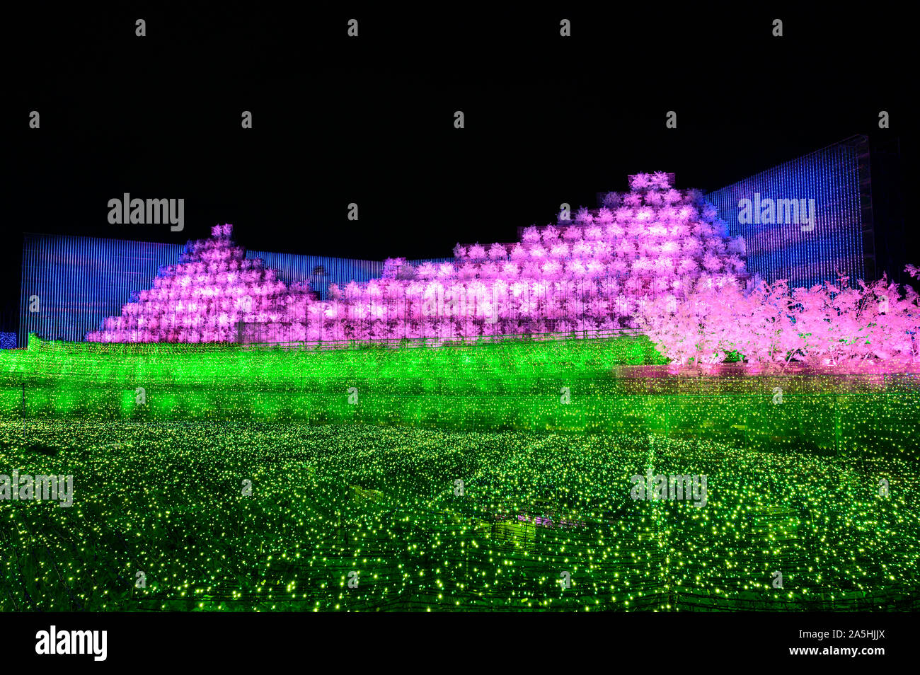 Nabana no Sato Flower Garden, illuminazione invernale 2020. 'Sakura' tema. Attrazioni di Nagoya. Foto Stock