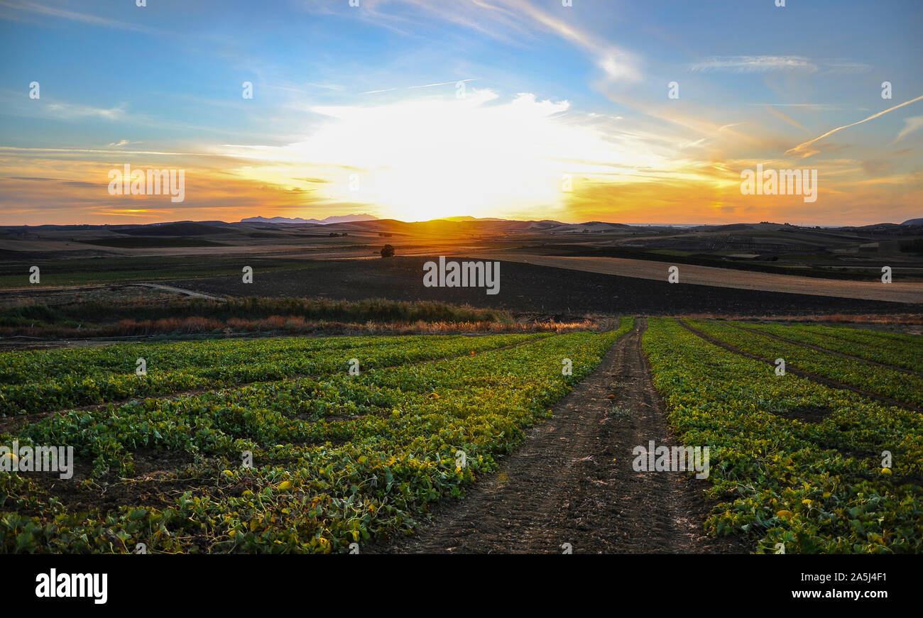 Tramonto nella campagna di Marsala Foto Stock